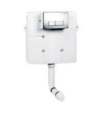 Flushing systems