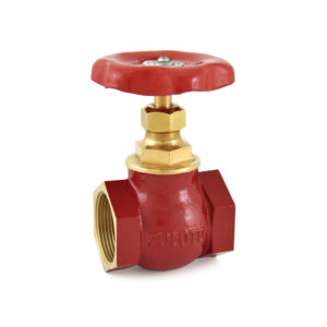 Globe valves
